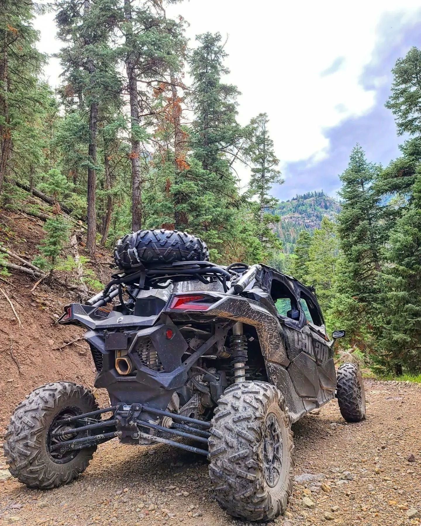UTV on forest trail